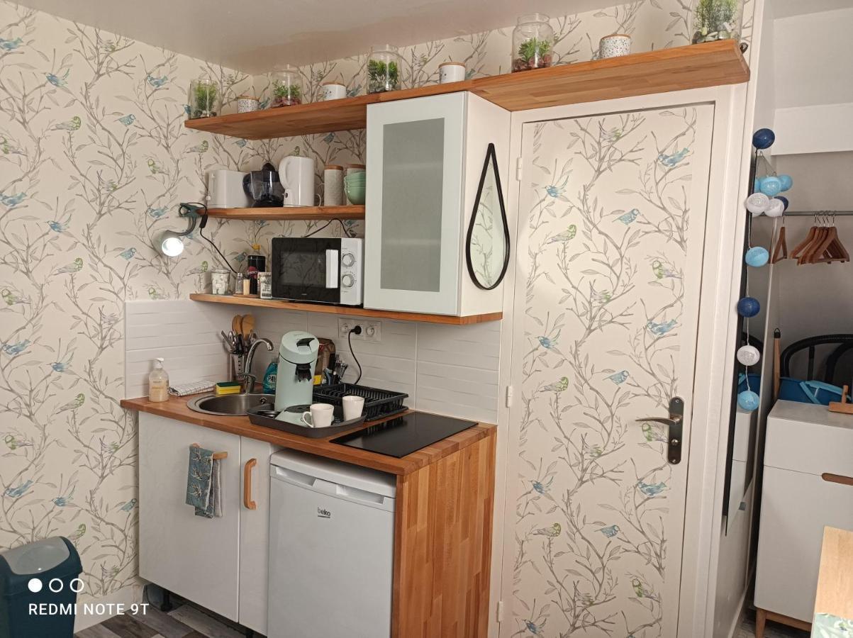 Magnifique Studio Climatisation, Parking A Velos, Velos En Option, Centre Ville Parking Prive Jardin Montargis Εξωτερικό φωτογραφία